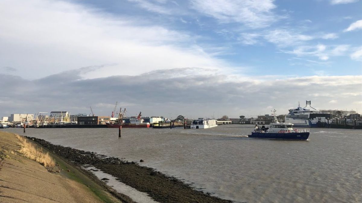 Drugssmokkel, arbeidsveiligheid en spionage: “Geen ontkomen aan vergrendelen haven Harlingen”