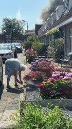 Tuinieren onder de rook