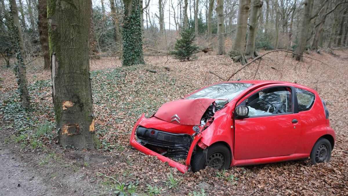 Auto botst tegen boom • file A15