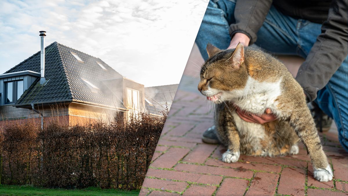 Kat gered uit brandende woning in Woudsend | Veel rook bij stalbrand in Surhuisterveen