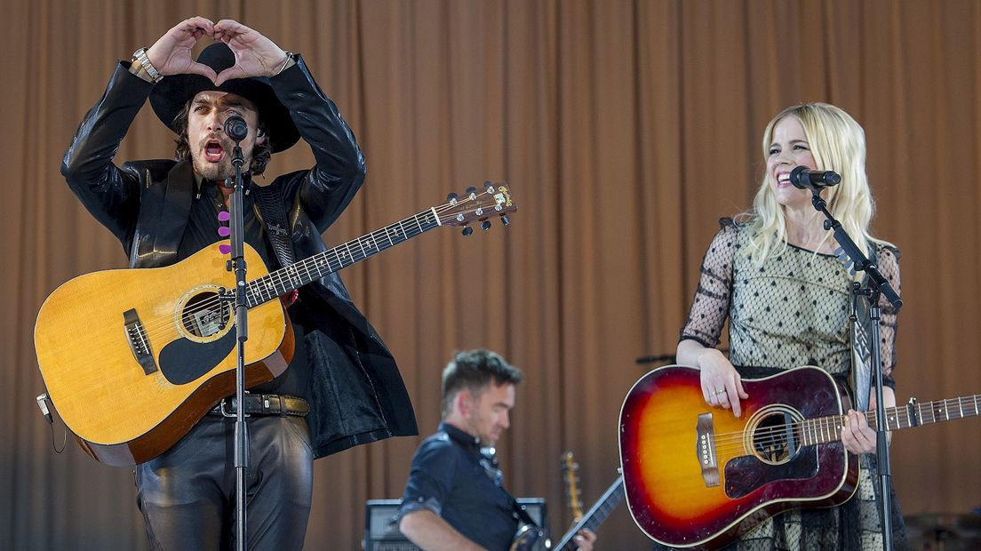 The Common Linnets