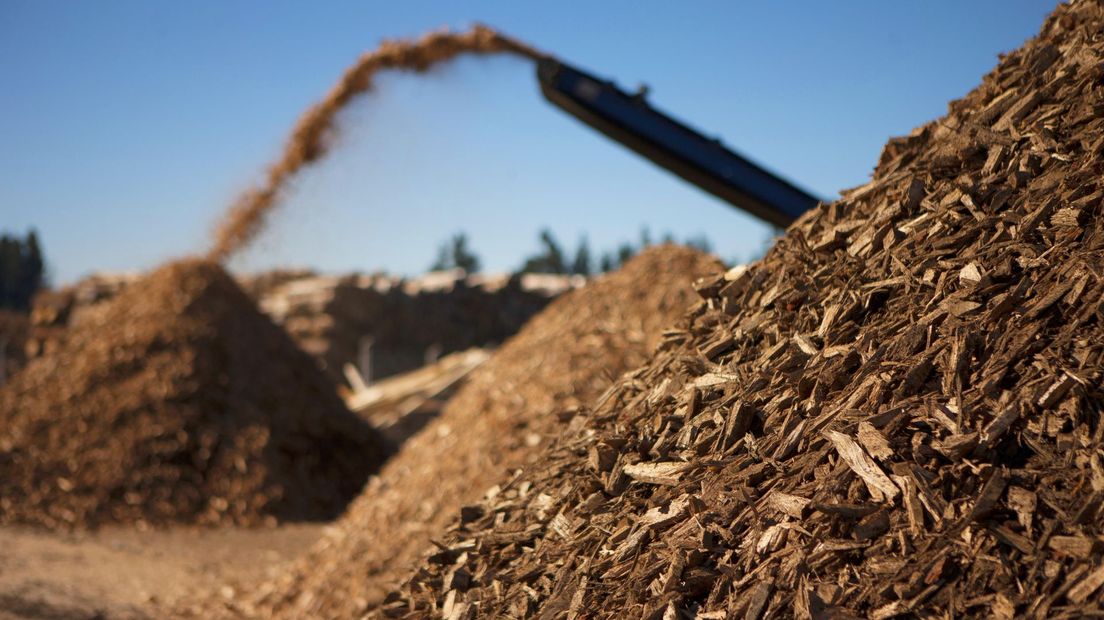 De provincie Overijssel wil weer geld steken in biomassa waarbij hout wordt verbrand.