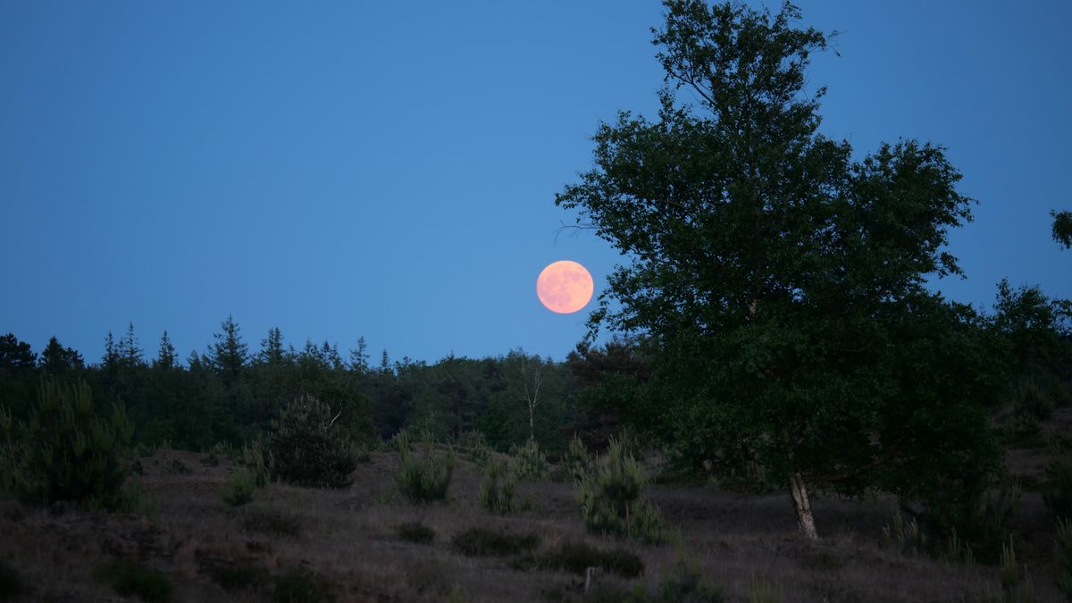 Wat is er dit weekend te doen in Drenthe?