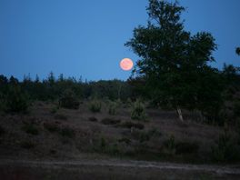 Wat is er dit weekend te doen in Drenthe?