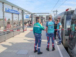 Schoten gelost in metro Hoek van Holland na opstootje: twee gewonden