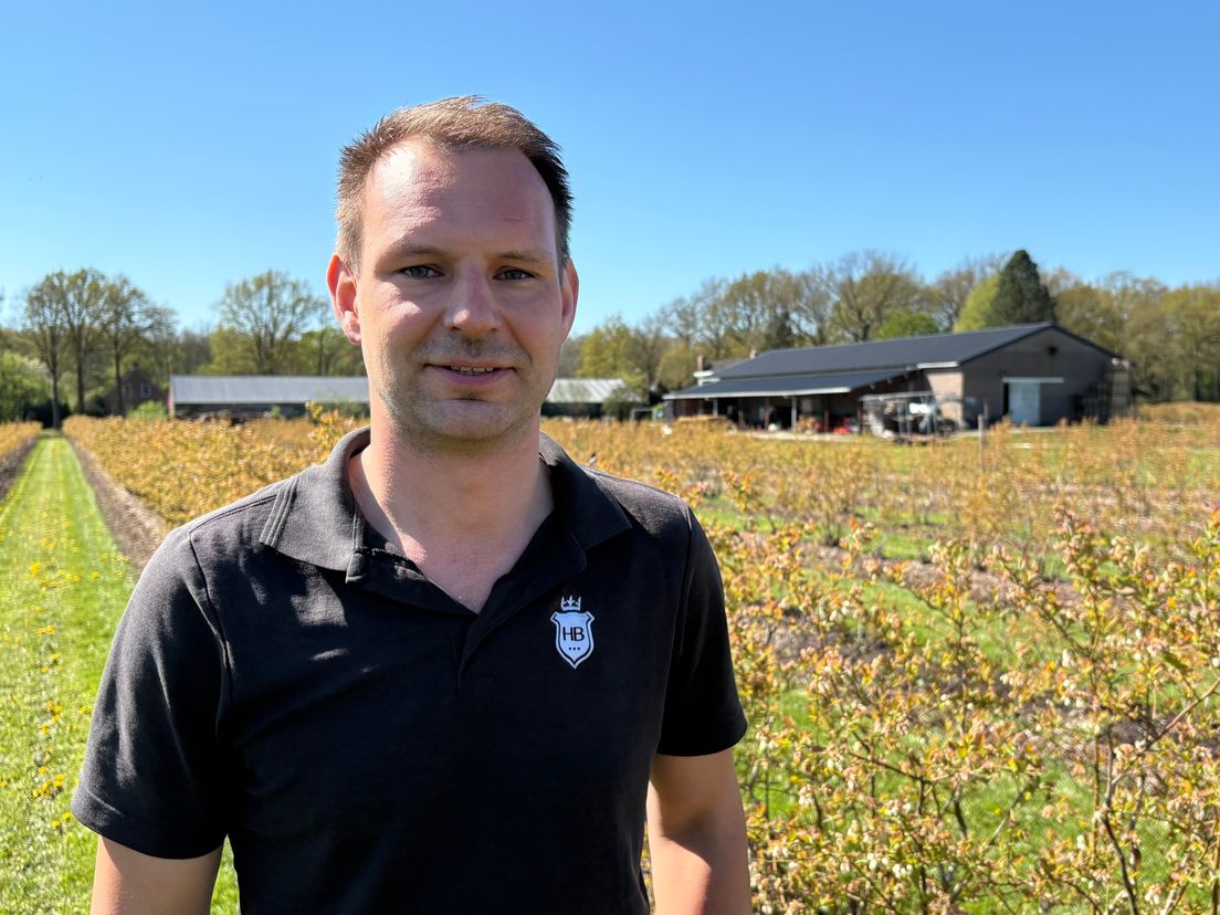 Blauwebessenboer Boersen blauwbekt 's nachts om zijn bessen te beregenen tegen bevriezing