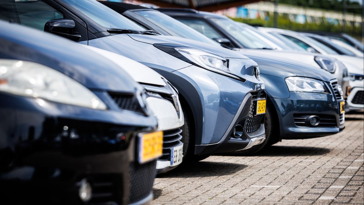 Toch (bijna) gratis parkeren in wijk net buiten centrum: 'De timing kon niet beter'