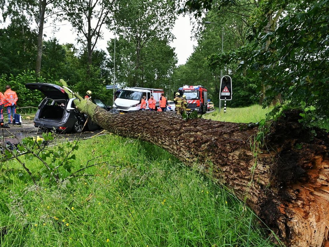 De boom viel tijdens noodweer om en kwam terecht op de auto.