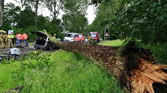 Man (45) uit Ommeren komt om nadat boom op auto valt: 'Een groot verlies'