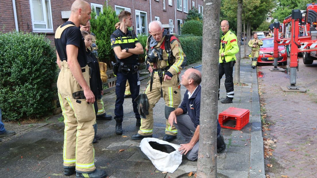 Hulpdiensten bij een van de overleden katten