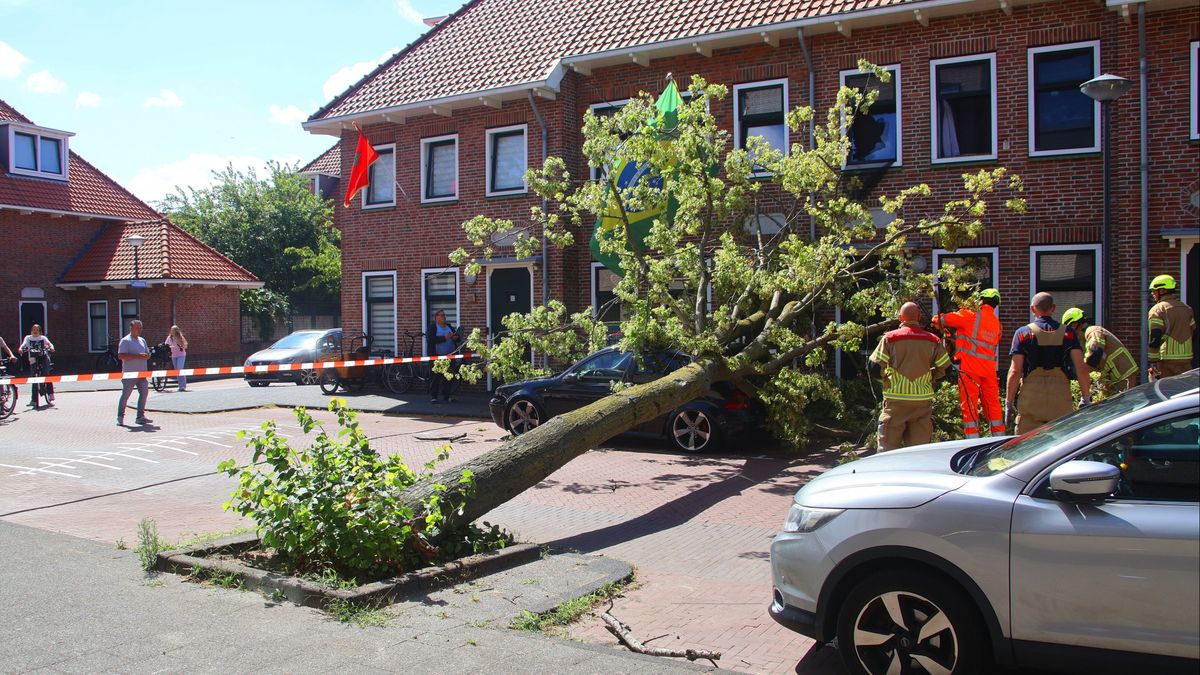 Boom valt om in straat, auto ingedeukt en raam kapot