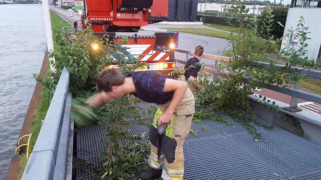 Vorige week nam de brandweer in Maarssen de zaag ter hand om de weg vrij te maken.