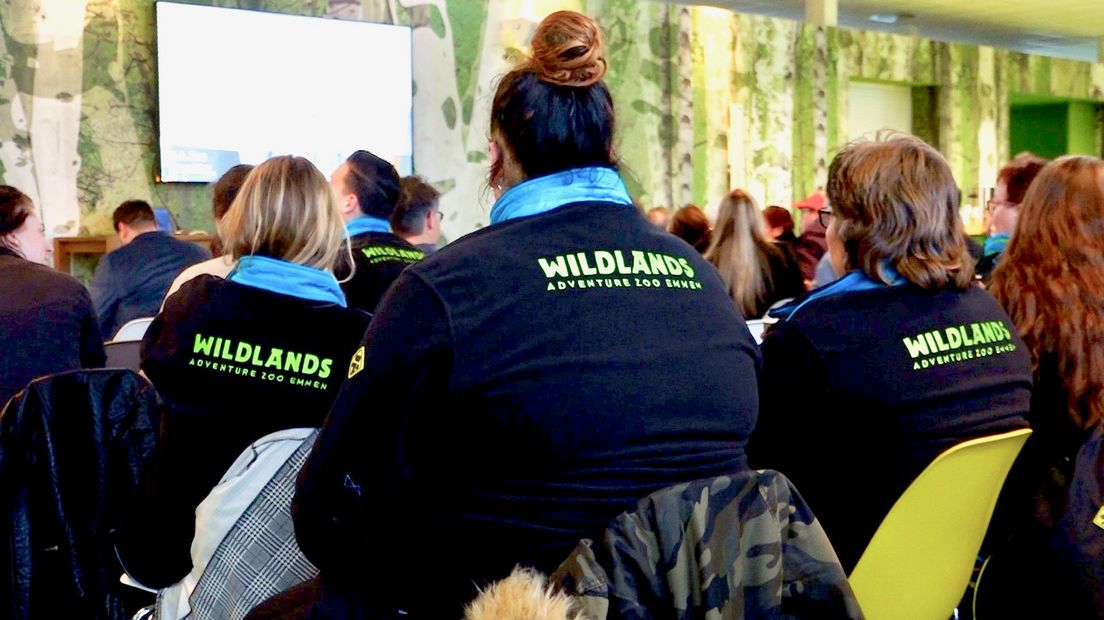 Het personeel van Wildlands woonde de vergadering via een scherm bij (Rechten: Janet Oortwijn/RTV Drenthe)