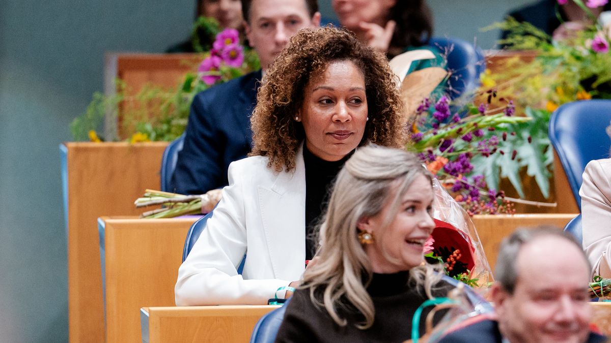 Beoogd D66-staatssecretaris met verleden in Rotterdam trekt zich terug vanwege onjuist cv