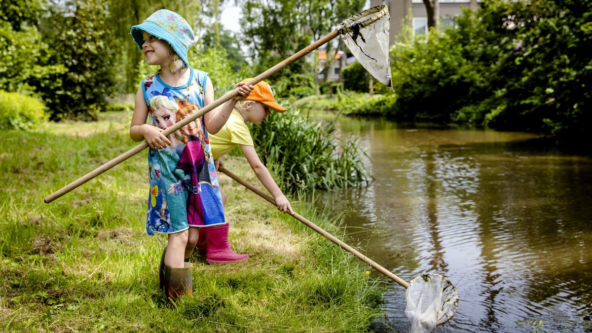 Rioolwater in sloten en vijvers in Zoetermeer