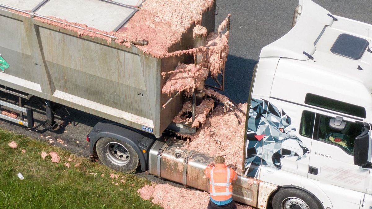 UPDATE: Tientallen meters slachtafval op A7 is opgeruimd