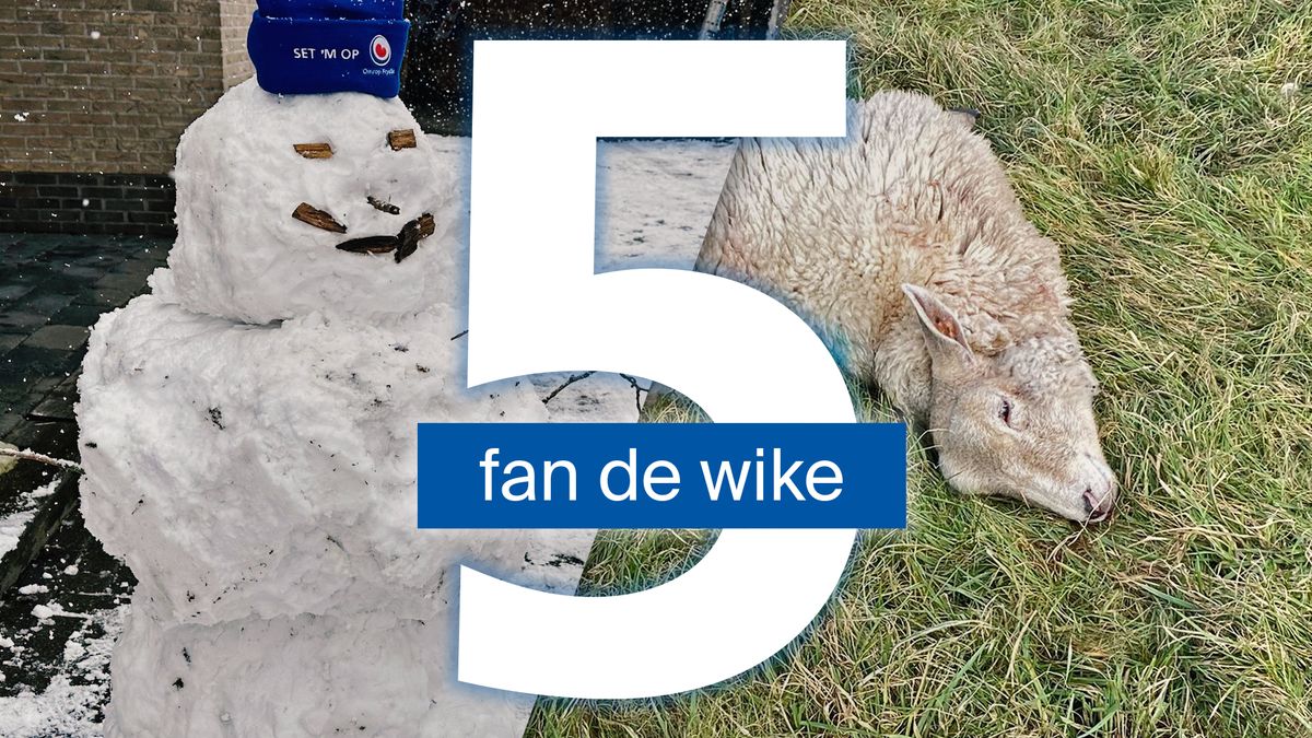 Een week van contrasten: doodgebeten schapen en een hoop sneeuwpret