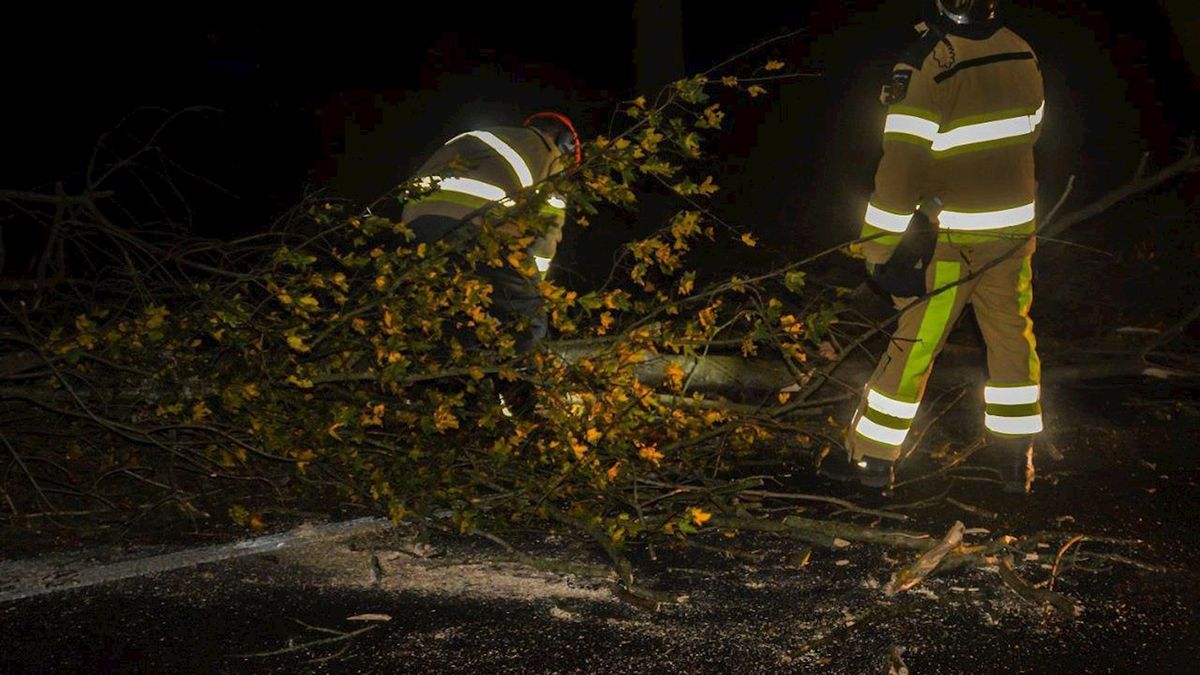Boom valt op Rijksstraatweg in Olst-Wijhe