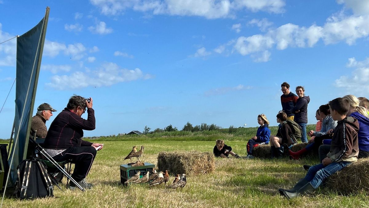 VIDEO: Na drie jaar weer een Jeugdvogelwachtdag in Workum