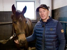 Springruiter Michael Greeve maakt WK-debuut