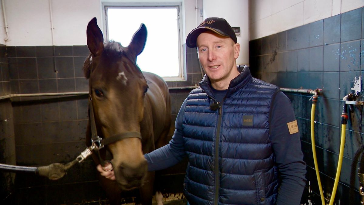 Springruiter Michael Greeve maakt WK-debuut