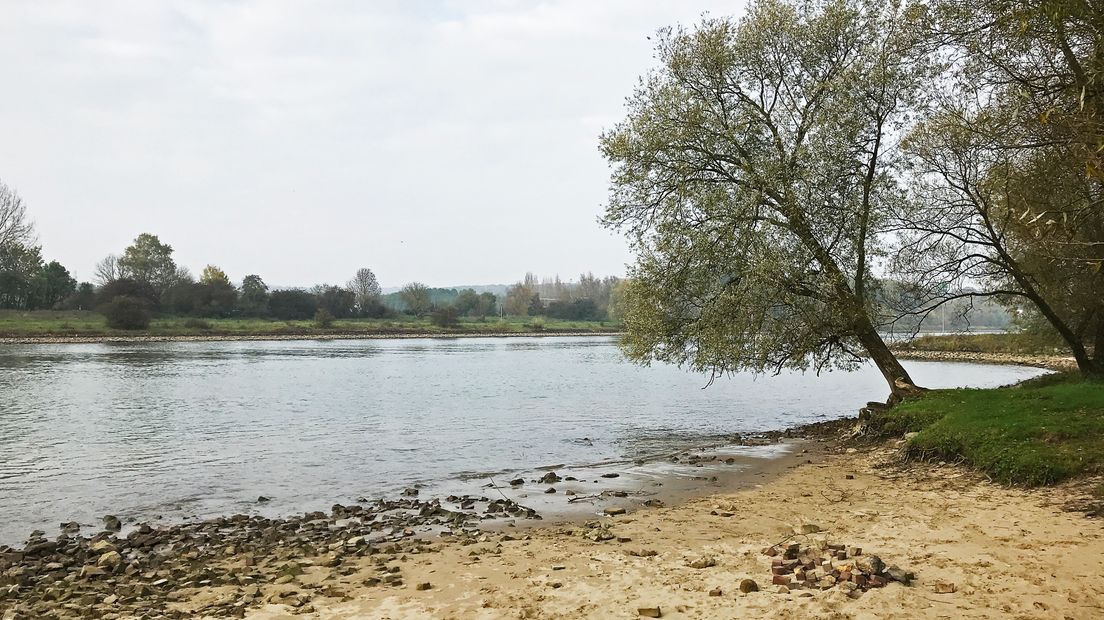 De afgelopen weken is de visarend gezien boven de Arnhemse uiterwaarden. De grote vogel is waarschijnlijk op weg naar warmere oorden. Het gebeurt vaker dat een visarend zich in onze provincie laat zien, maar het is wel zeldzaam. Of hij wat langer blijft deze herfst is niet duidelijk.