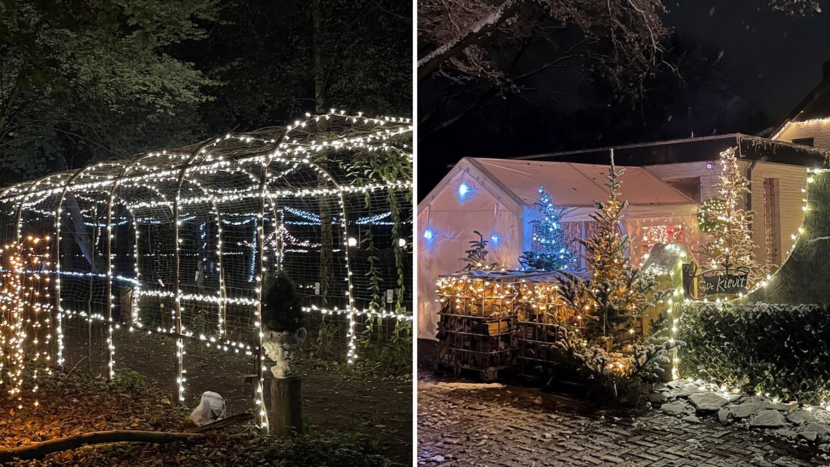 150.000 lampjes: dit is de mooiste kerstversiering van 2023