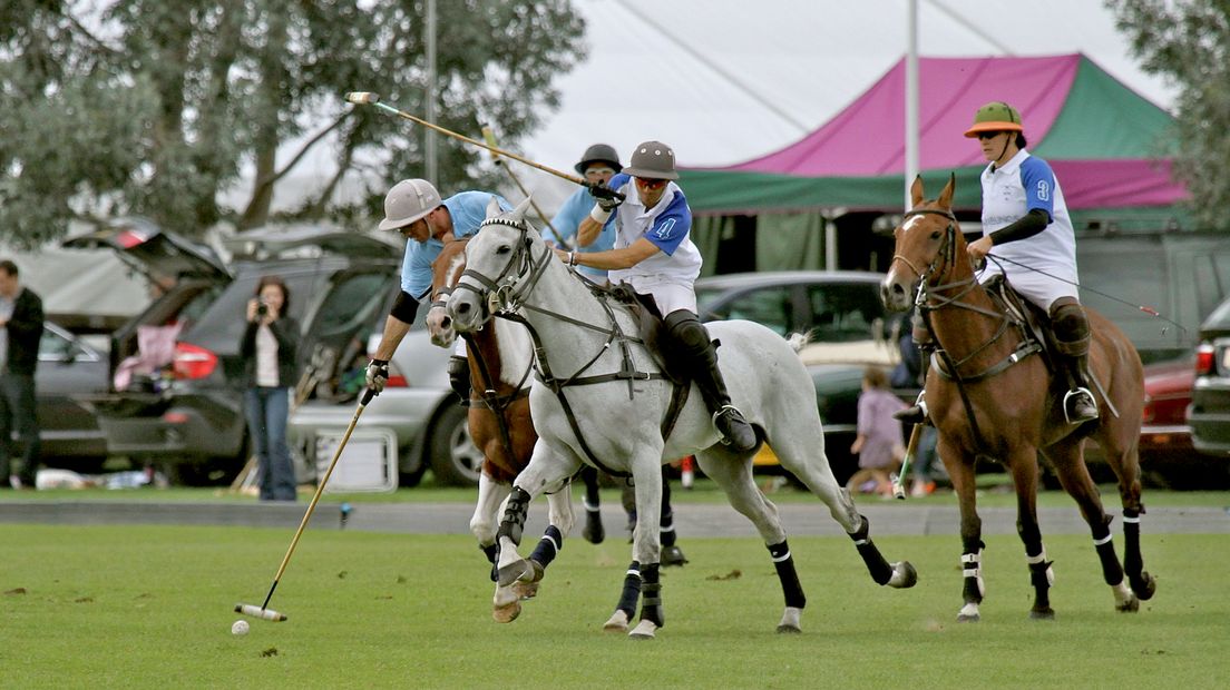 Polo is een combinatie van de sporten hockey en rugby, maar dan gespeeld op de rug van een paard.