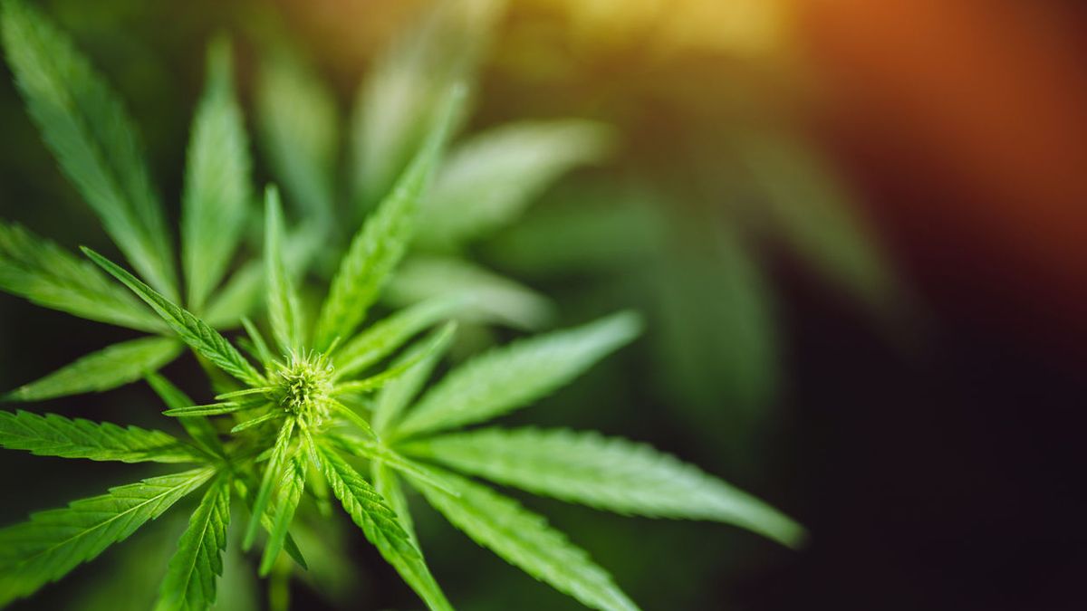 Woning drie maanden op slot na drugvondst