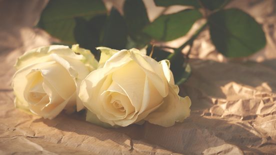 Witte rozen, berichtjes en cadeautjes: stalker gaat na jaren weer in de fout Nieuws