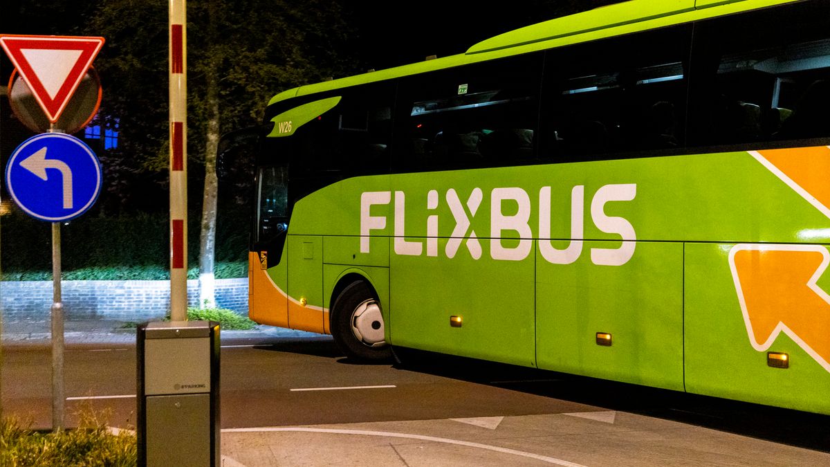 FlixBus komt eindelijk naar Zeeland: vanaf vrijdag naar Amsterdam en Brugge
