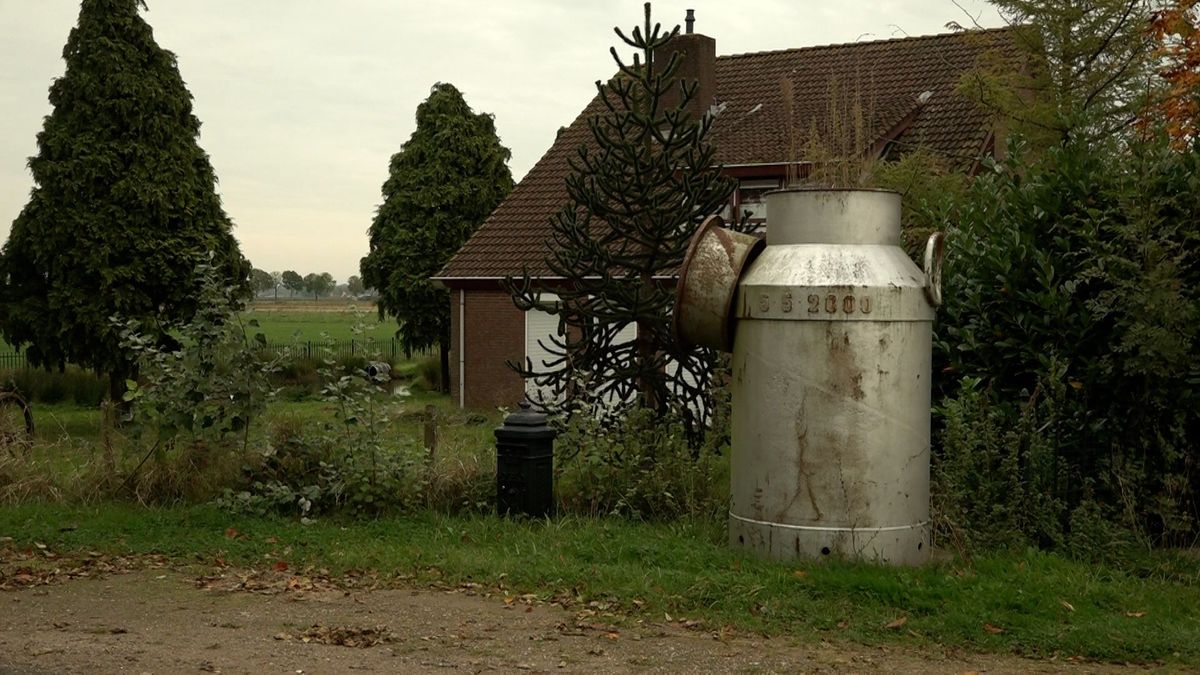 Gedwongen verkoop dierenverhuurder Bert levert mogelijk bijna 7 ton op