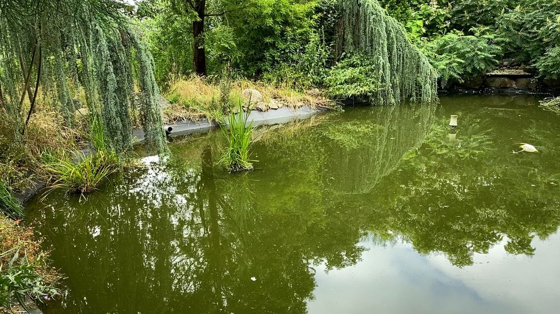 Eén van de vijvers in de siertuin