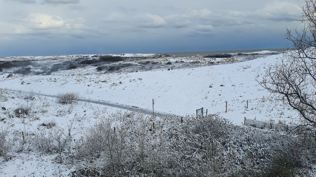 De duinen bij Duindorp