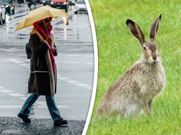 Dit is de weersverwachting voor Pasen