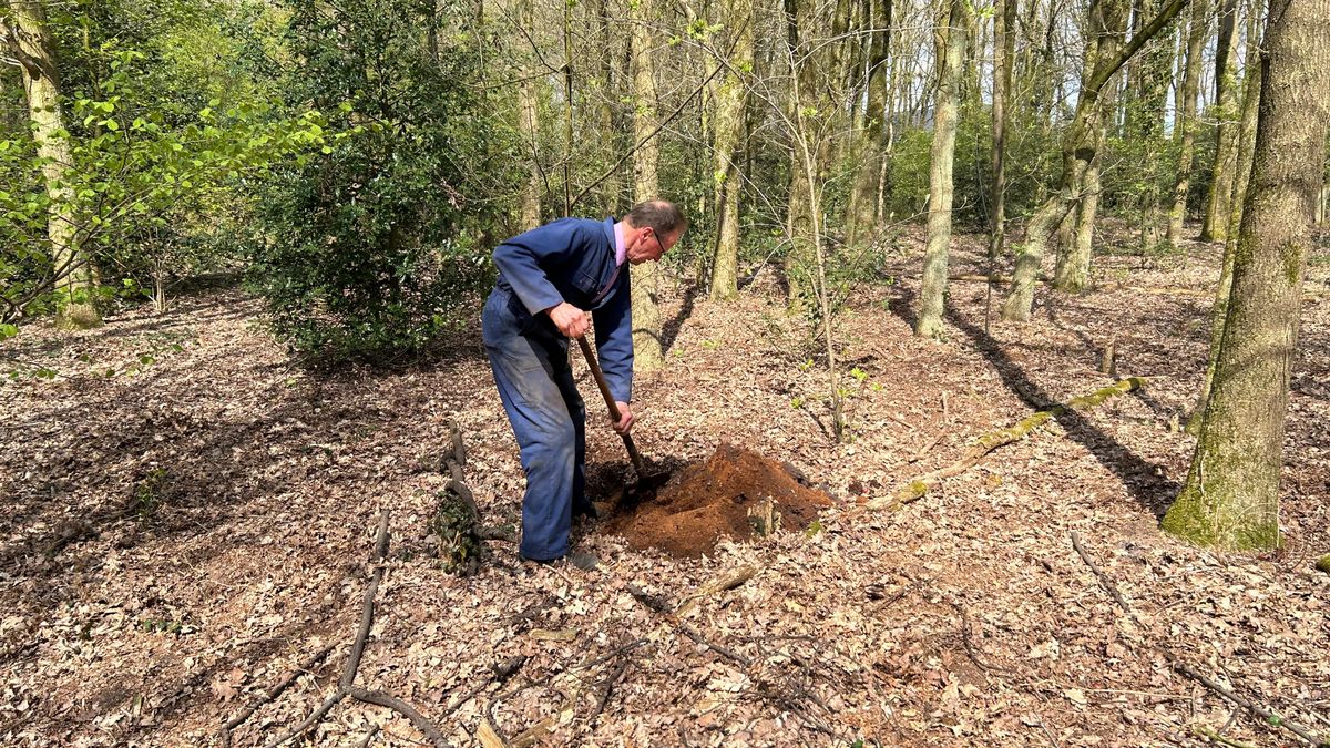 Dode katten en honden in Bergentheim: 'We vermoeden dat ze vergiftigd zijn'