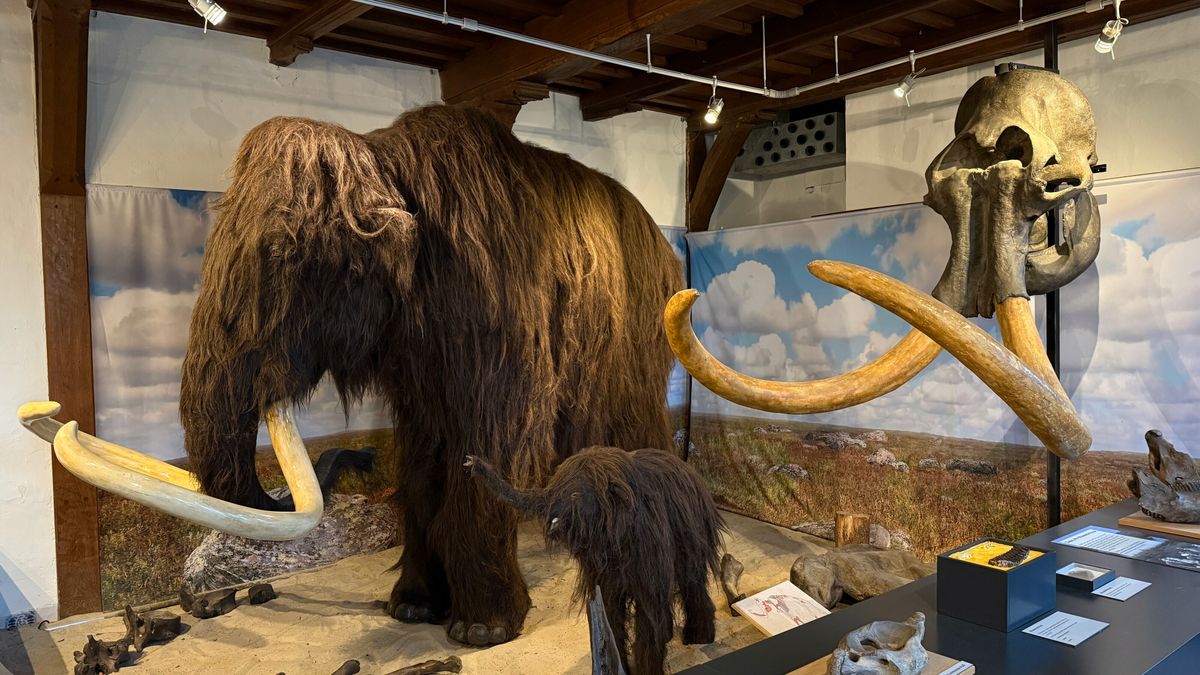 OERmuseum naarstig op zoek naar vrijwilligers: 'Anders houdt het gewoon op'