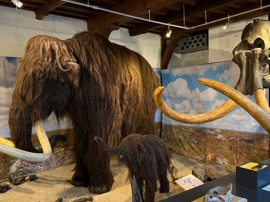 OERmuseum naarstig op zoek naar vrijwilligers: 'Anders houdt het gewoon op'