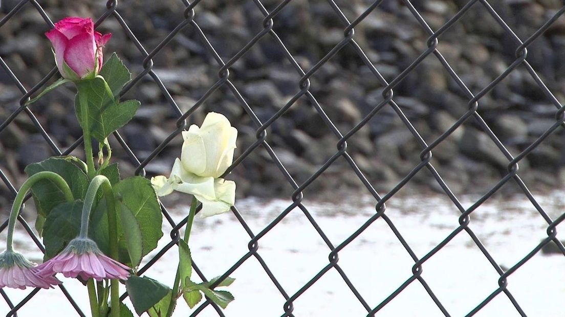 Plek van zelfdoding Fleur Bloemen