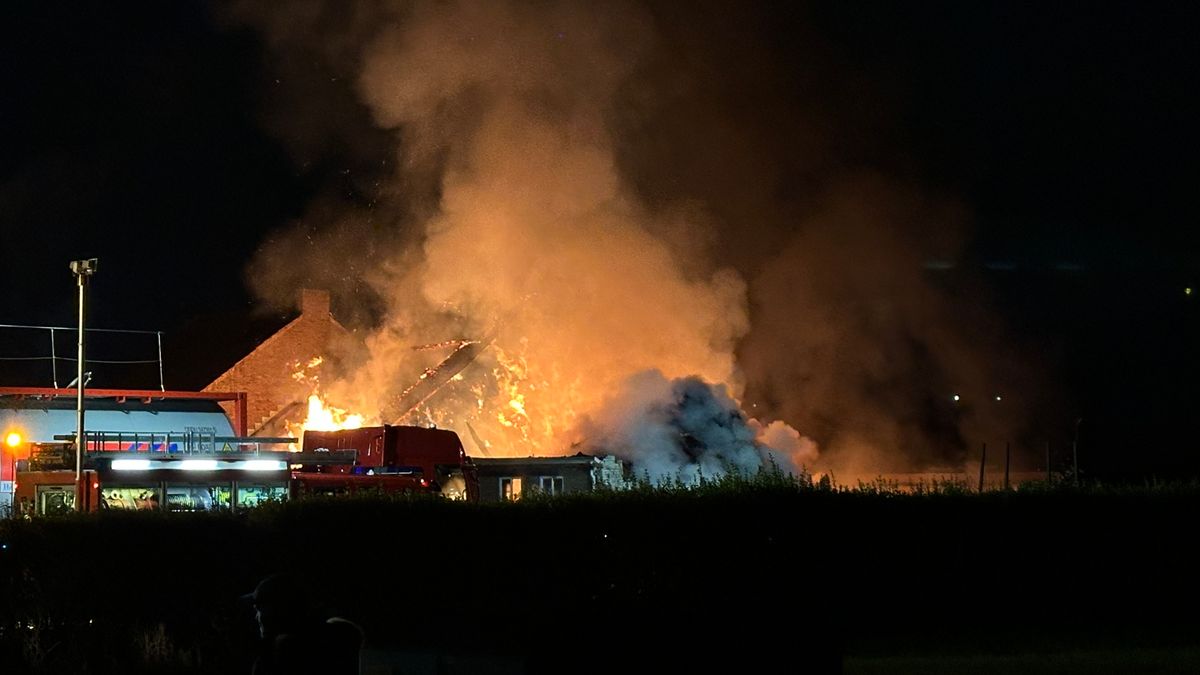 Brand in agrarische schuur in Driewegen, twee brandweermannen gewond