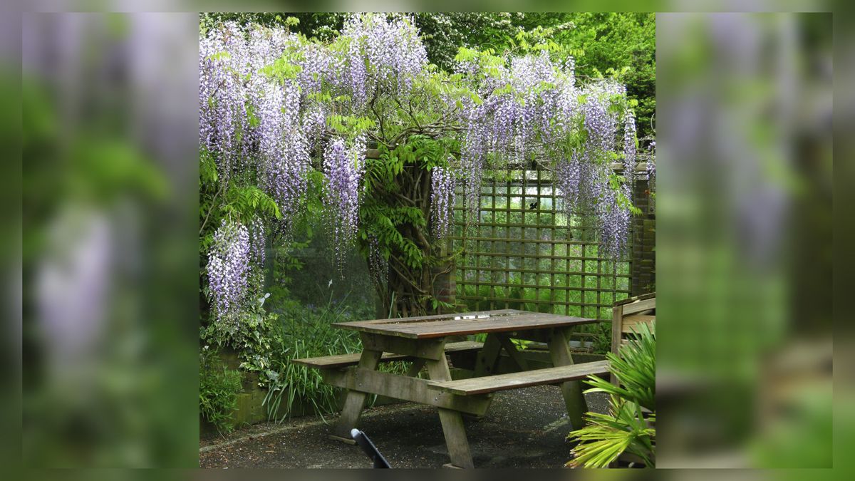 Genieten van een tuin in bloei? Het kan in Waskemeer