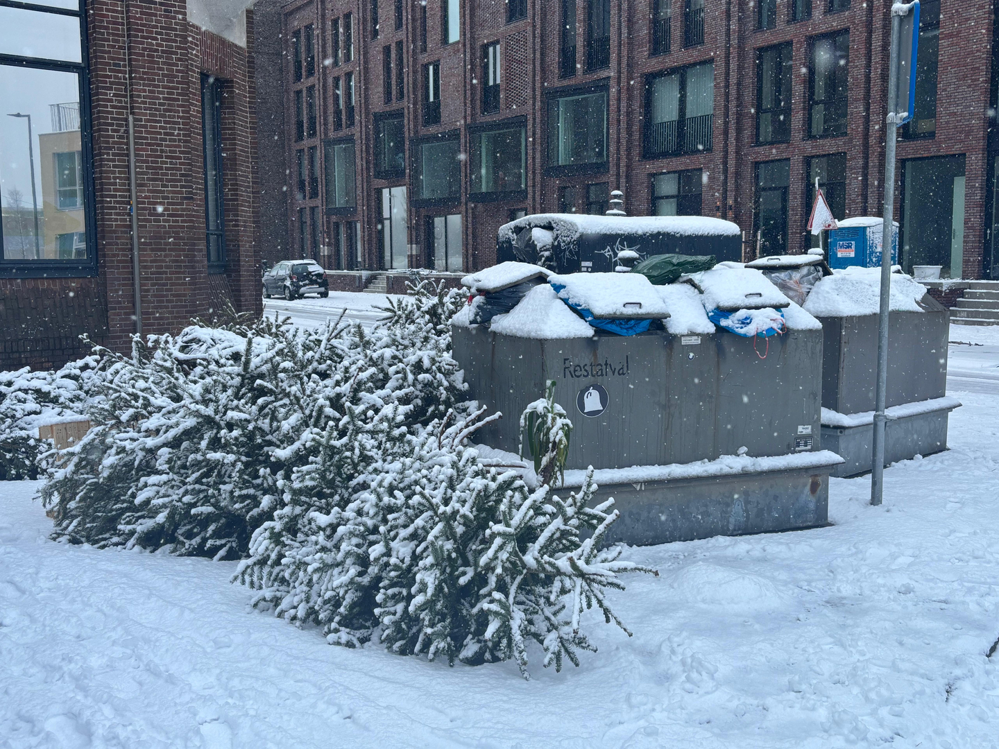 Sneeuw bedekt volle afvalcontainers en afgedankte kerstbomen in Rotterdam