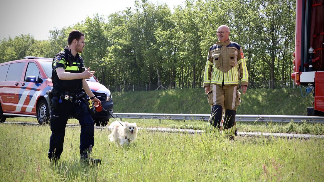 Hondje en eigenaresse met schrik vrij na 'wurg-avontuur'