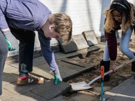 Honderdduizenden tegels vervangen voor groen in Den Haag