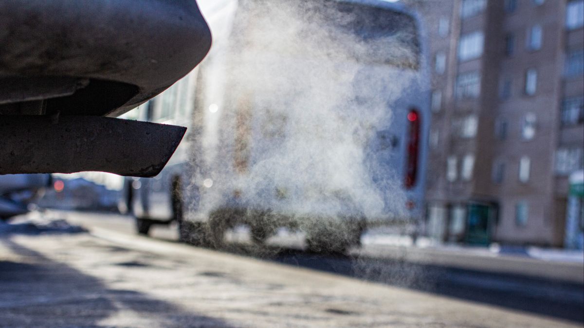 300 waarschuwingen per week binnen zero-emissiezone: 'We verwachten minder boetes'