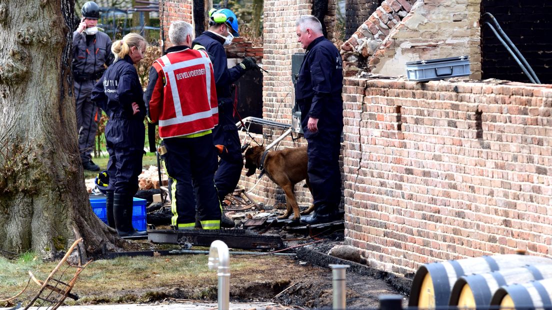 Honden zoeken tussen de resten (Rechten: RTV Drenthe / Steven Stegen)
