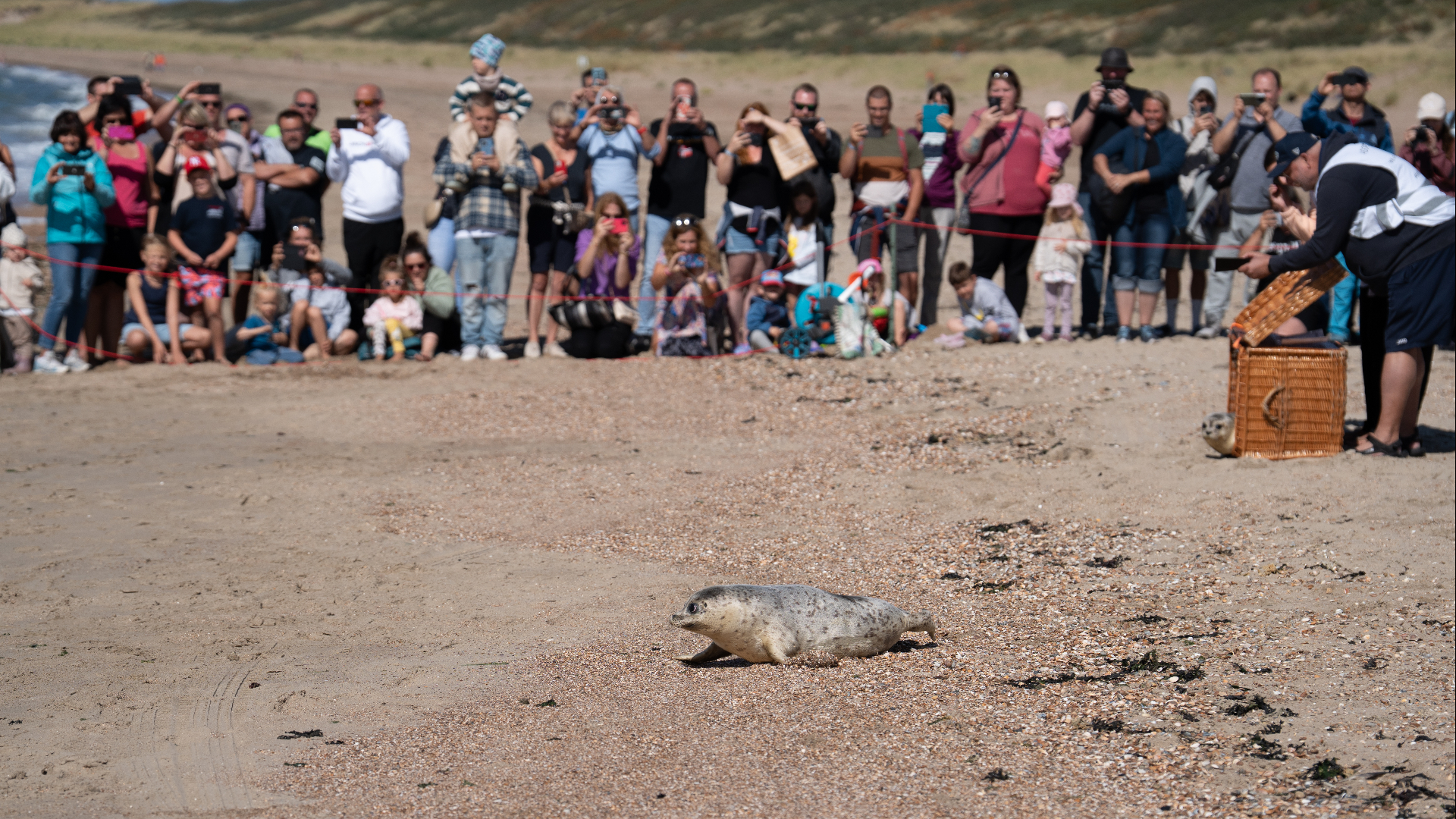 Veel bezoekers zullen met een goede foto huiswaarts zijn gegaan.