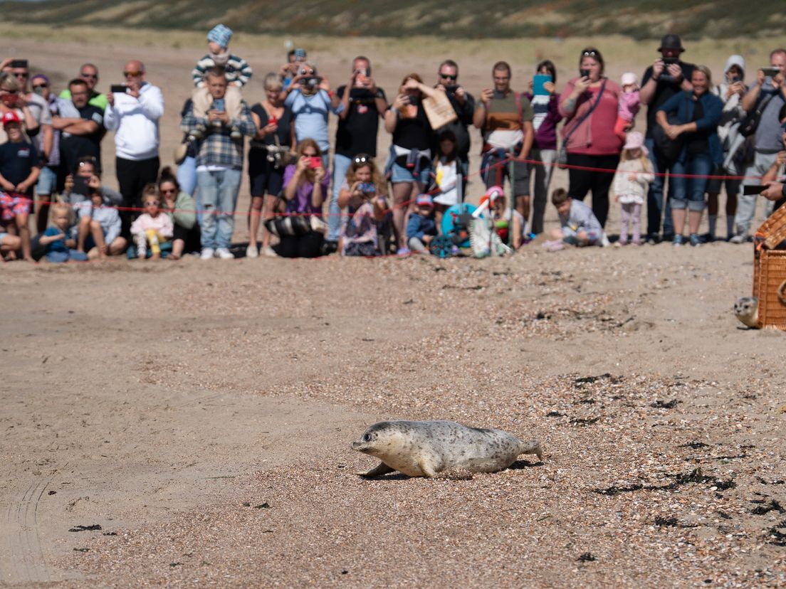 Veel bezoekers zullen met een goede foto huiswaarts zijn gegaan.