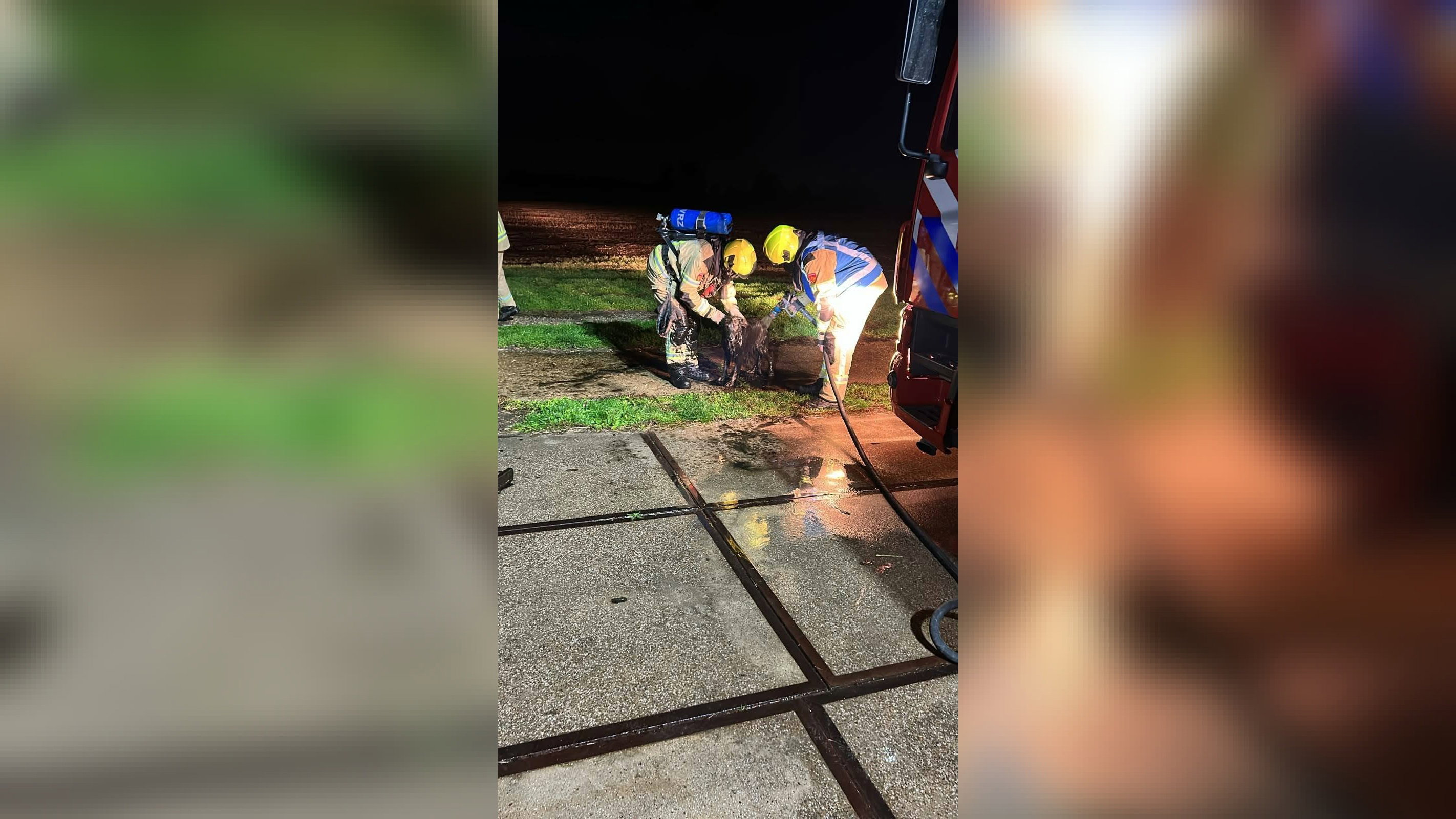 Hond valt in gierkelder en wordt gered door brandweer
