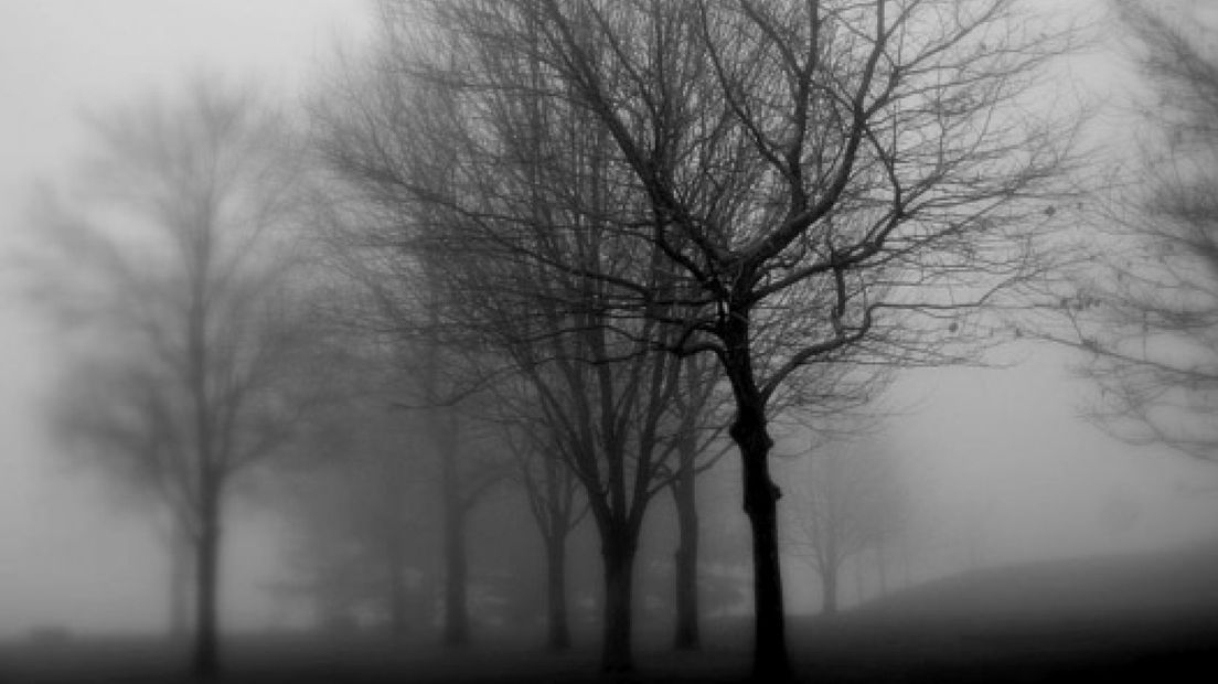 Gelderland in de mist